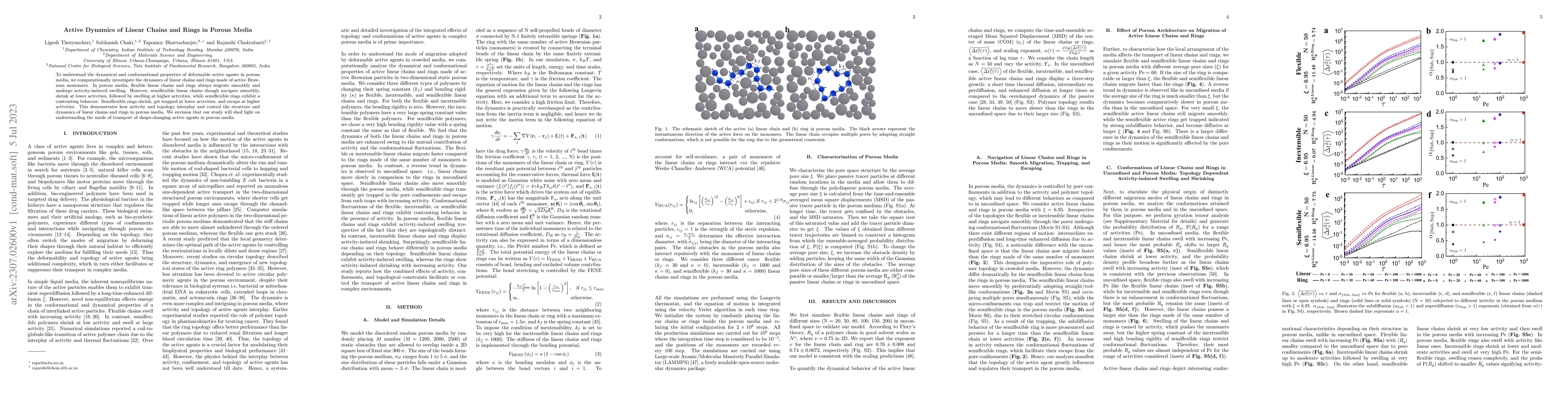 Thumbnail for Active Dynamics of Linear Chains and Rings in Porous Media