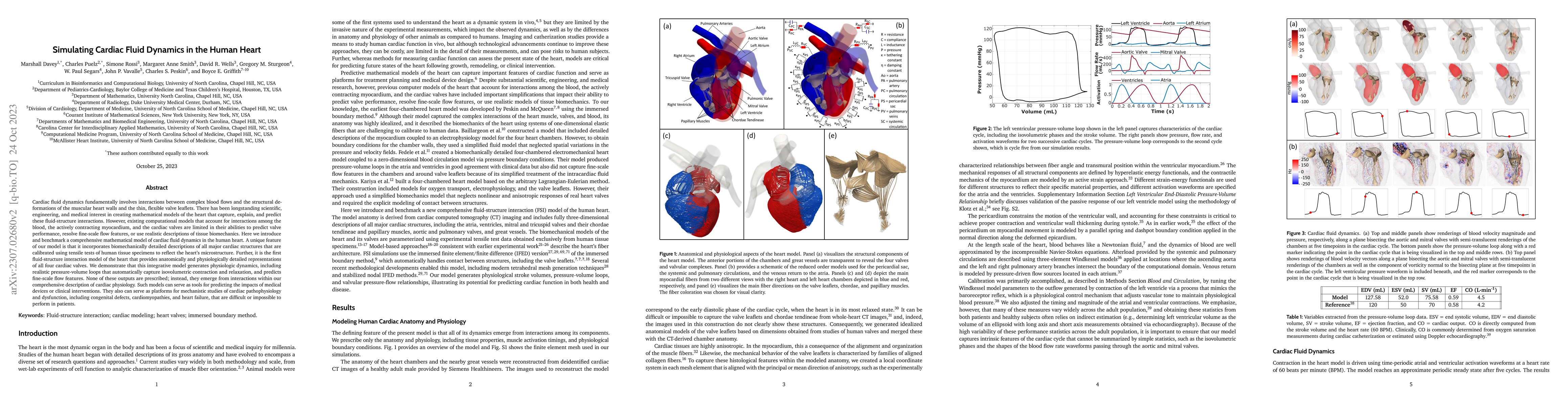 Thumbnail for Simulating Cardiac Fluid Dynamics in the Human Heart