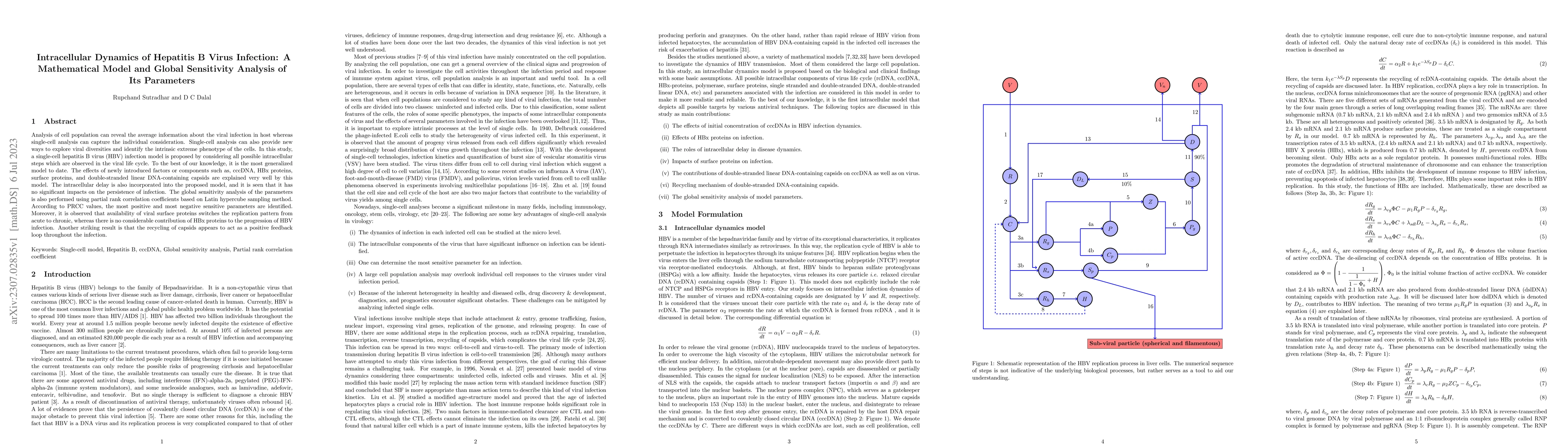 Thumbnail for Intracellular Dynamics of Hepatitis B Virus Infection: A Mathematical
  Model and Global Sensitivity Analysis of Its Parameters