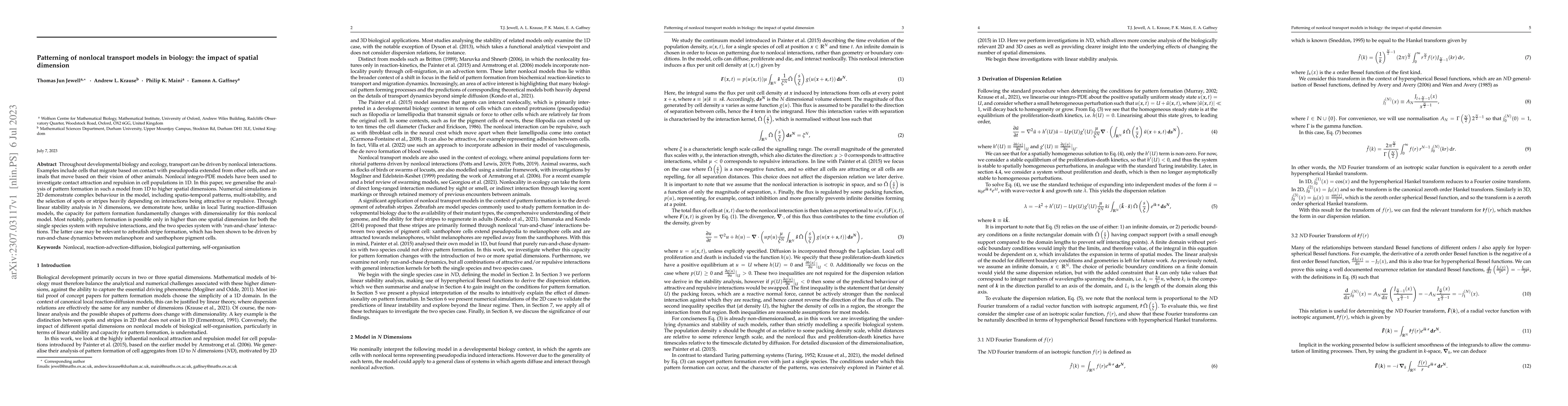 Thumbnail for Patterning of nonlocal transport models in biology: the impact of
  spatial dimension