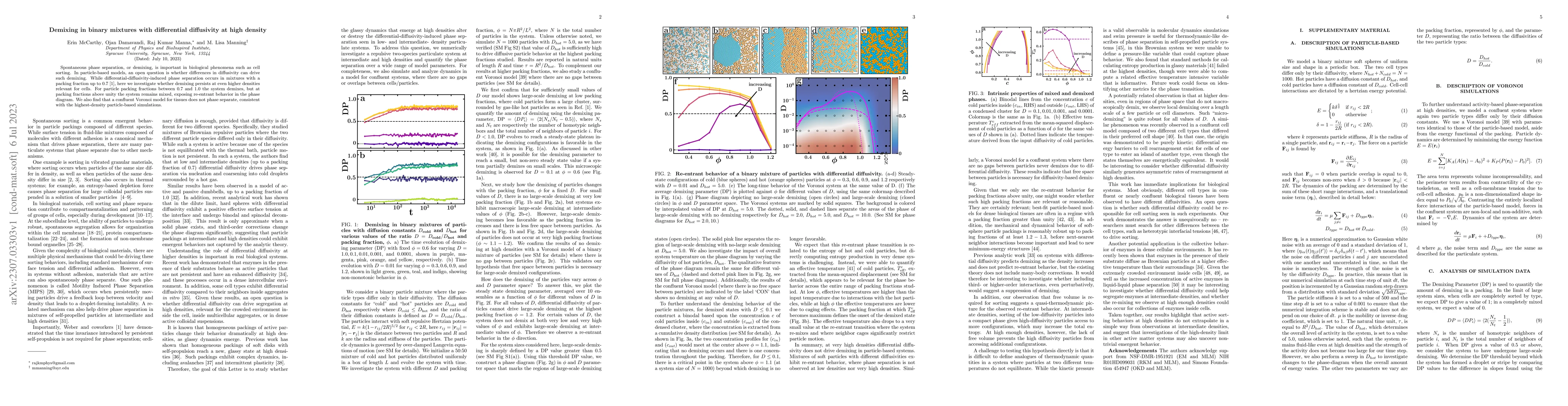 Thumbnail for Demixing in binary mixtures with differential diffusivity at high
  density