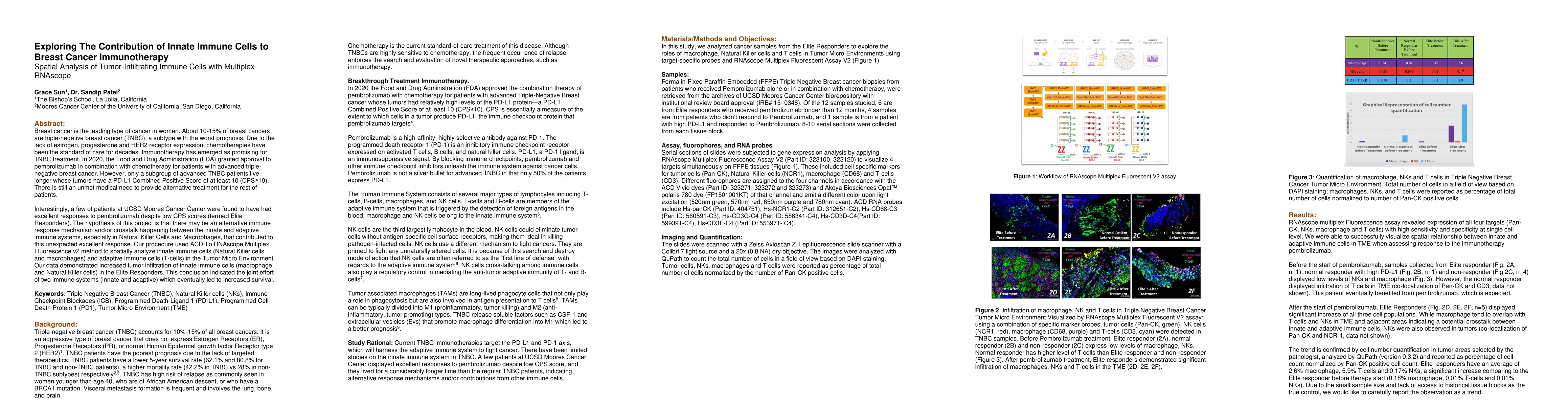 Thumbnail for Exploring The Contribution of Innate Immune Cells to Breast Cancer
  Immunotherapy