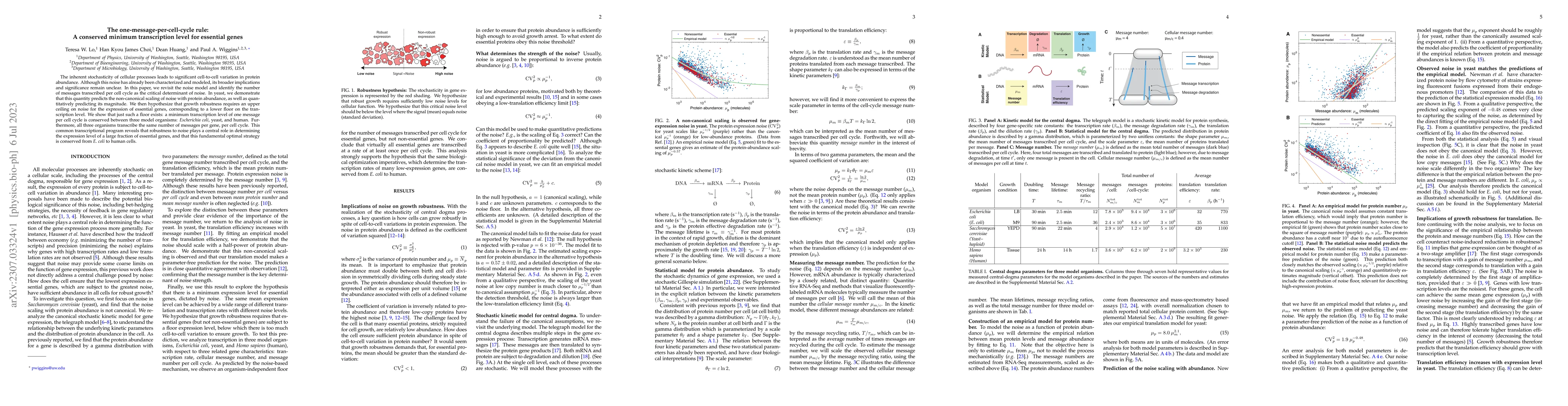 Thumbnail for The one-message-per-cell-cycle rule: A conserved minimum transcription
  level for essential genes