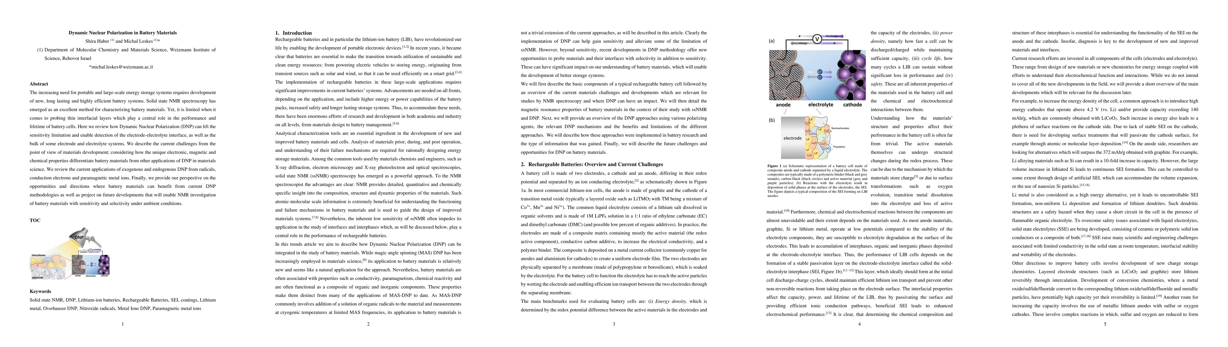 Thumbnail for Dynamic Nuclear Polarization in Battery Materials