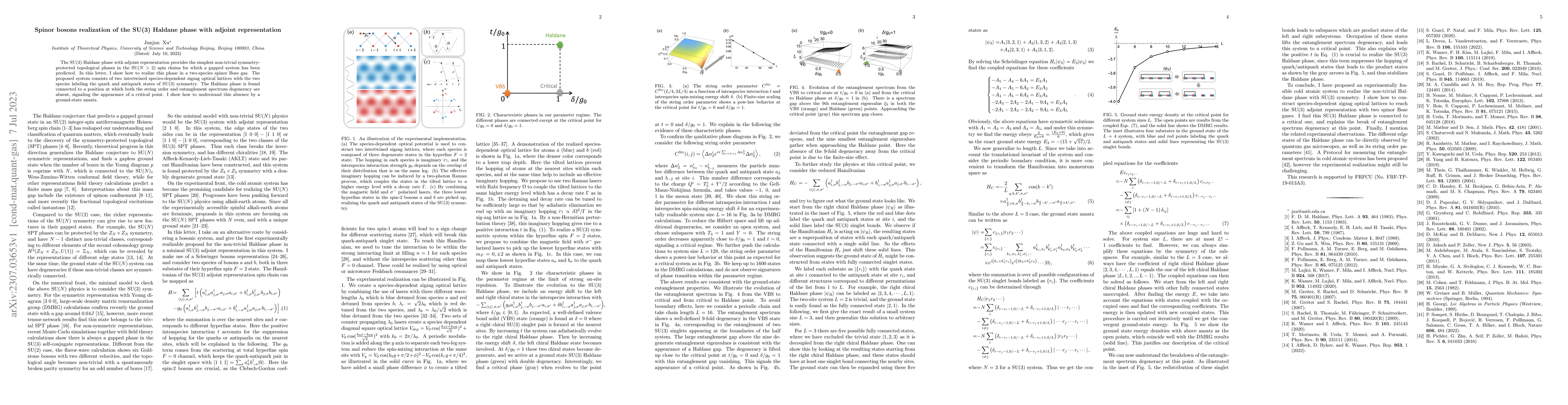 Thumbnail for Spinor bosons realization of the SU(3) Haldane phase with adjoint
  representation