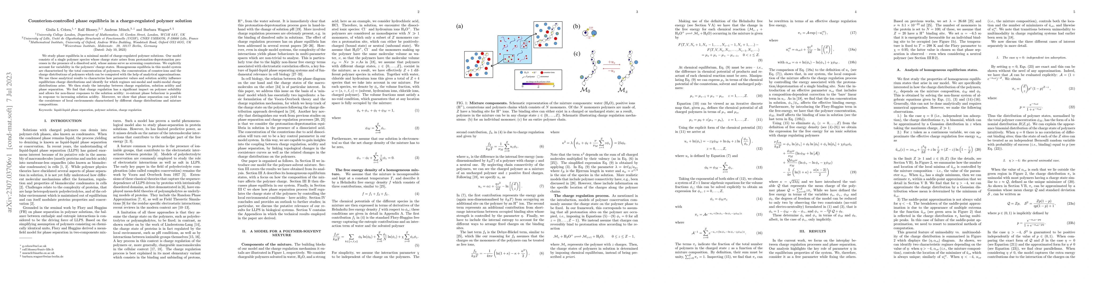 Thumbnail for Counterion-controlled phase equilibria in a charge-regulated polymer
  solution