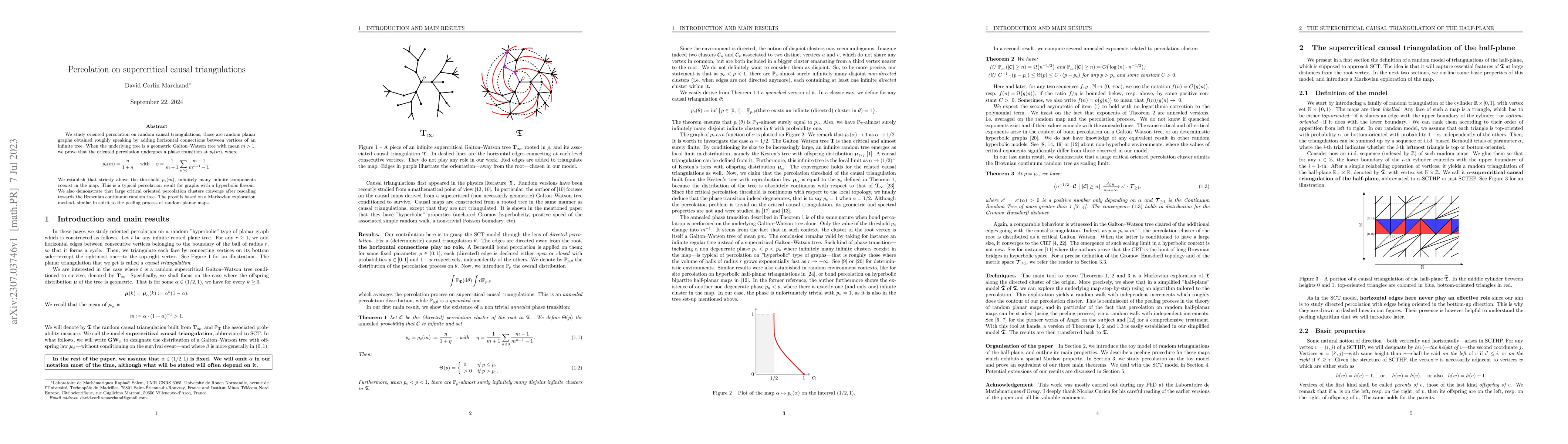 Thumbnail for Percolation on supercritical causal triangulations
