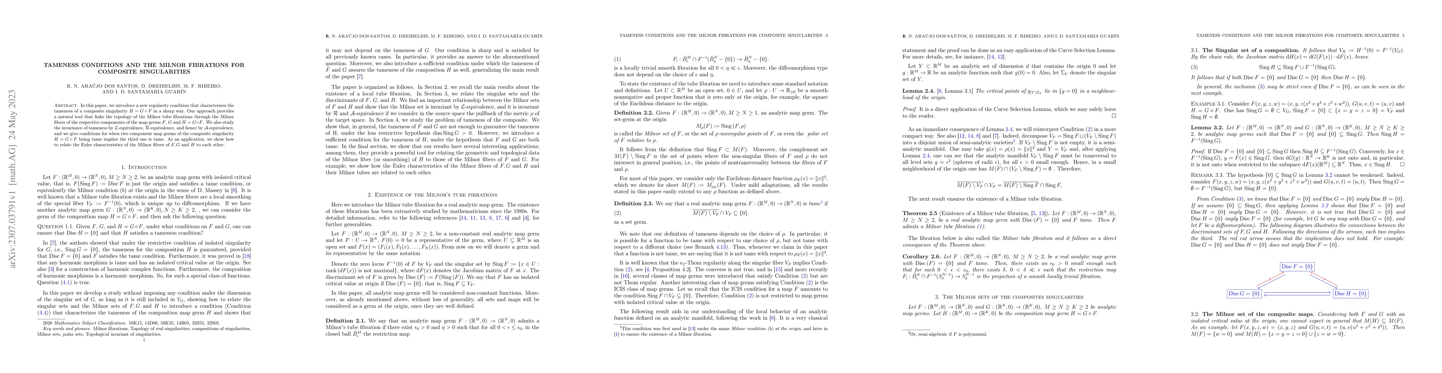 Thumbnail for Tameness conditions and the Milnor fibrations for composite
  singularities