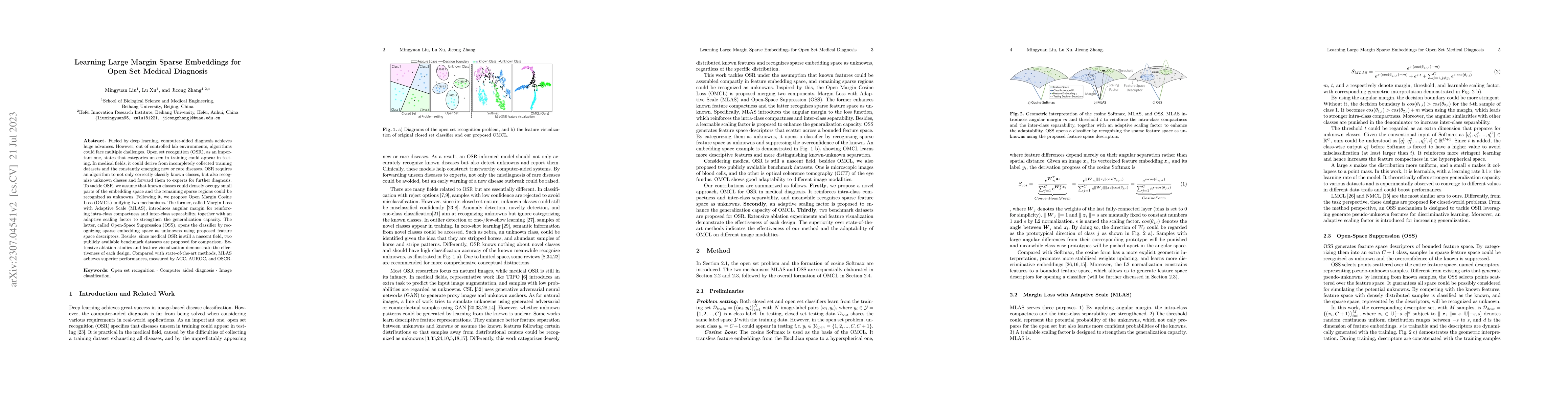 Thumbnail for Learning Large Margin Sparse Embeddings for Open Set Medical Diagnosis