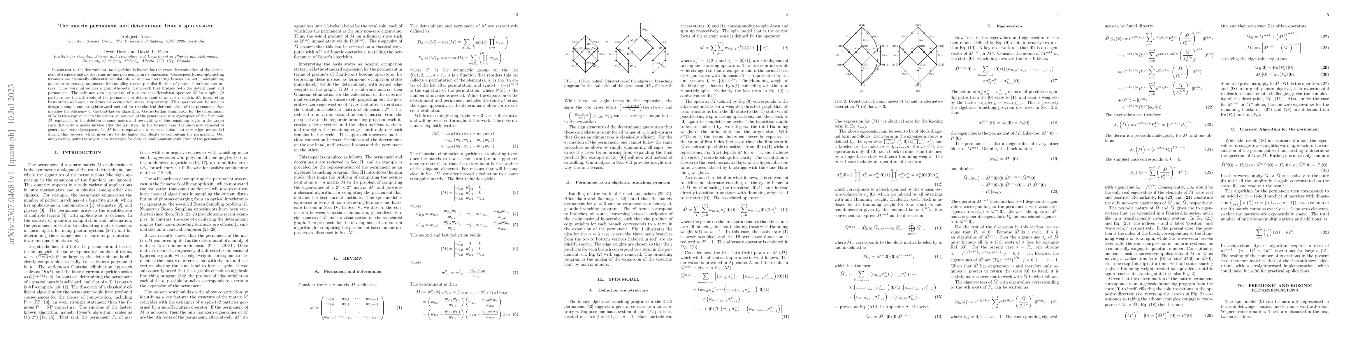 Thumbnail for The matrix permanent and determinant from a spin system