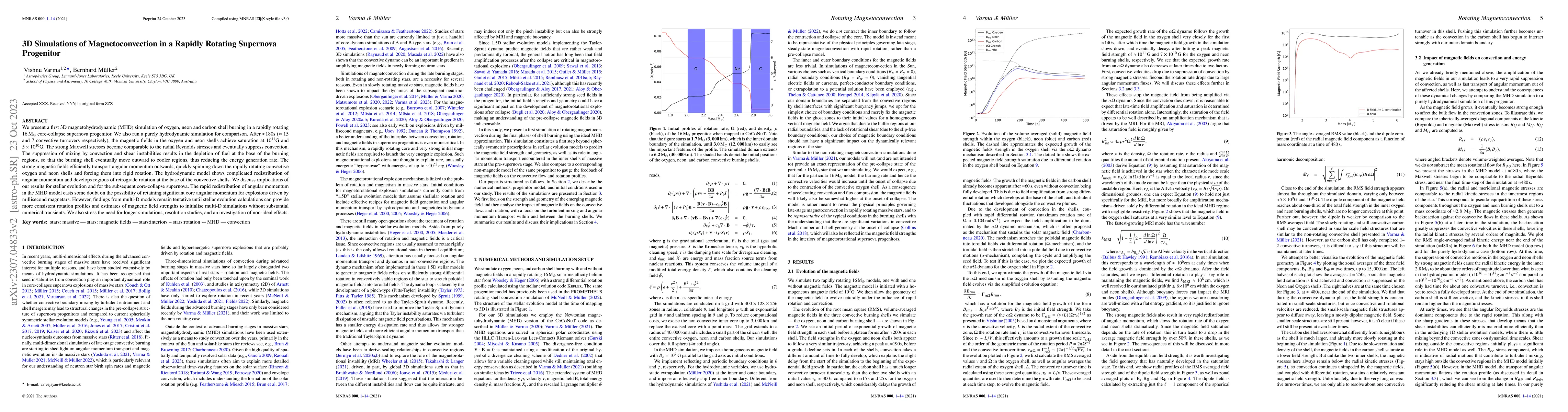 Thumbnail for 3D Simulations of Magnetoconvection in a Rapidly Rotating Supernova
  Progenitor