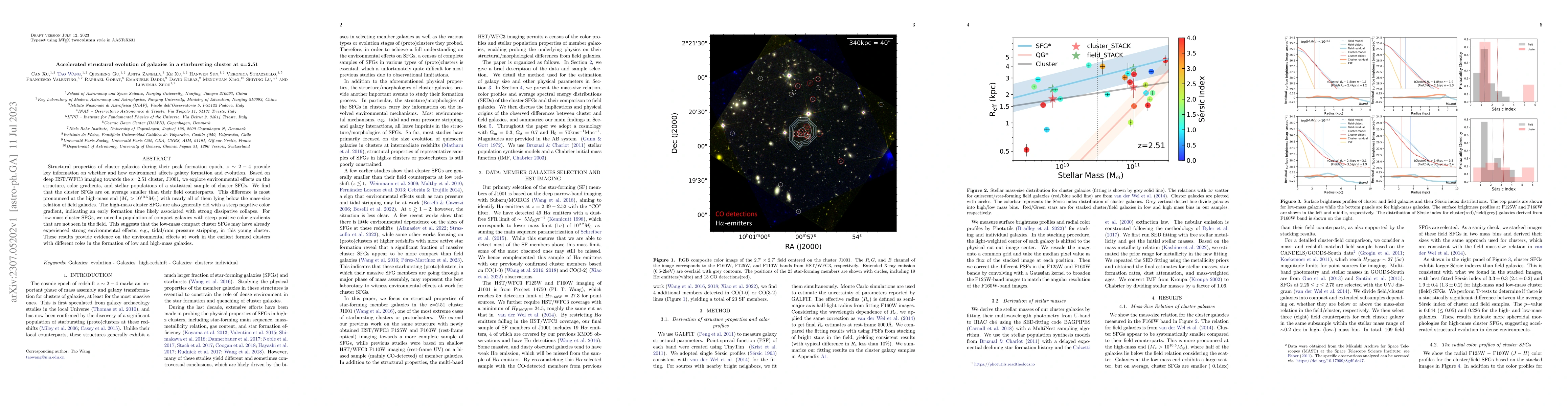 Thumbnail for Accelerated structural evolution of galaxies in a starbursting cluster
  at z=2.51