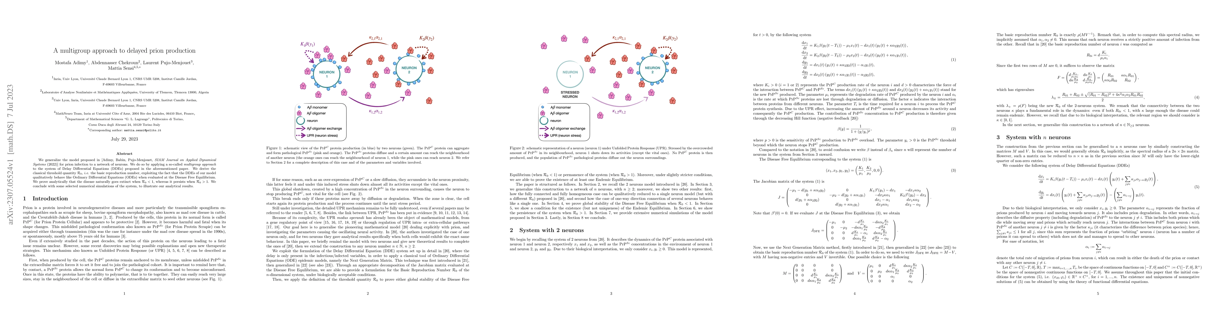 Thumbnail for A multigroup approach to delayed prion production