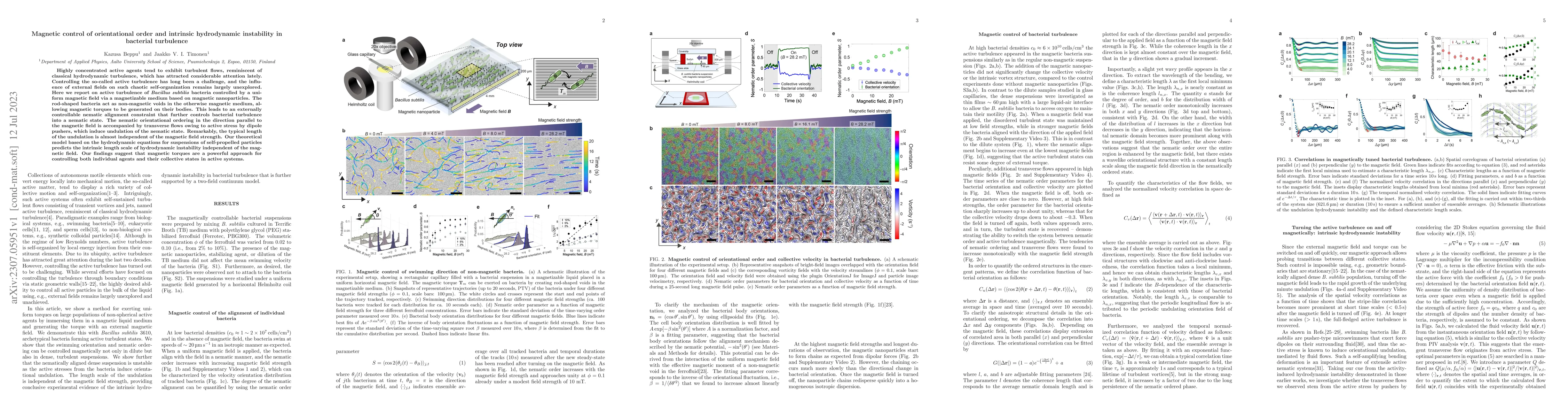 Thumbnail for Magnetic control of orientational order and intrinsic hydrodynamic
  instability in bacterial turbulence