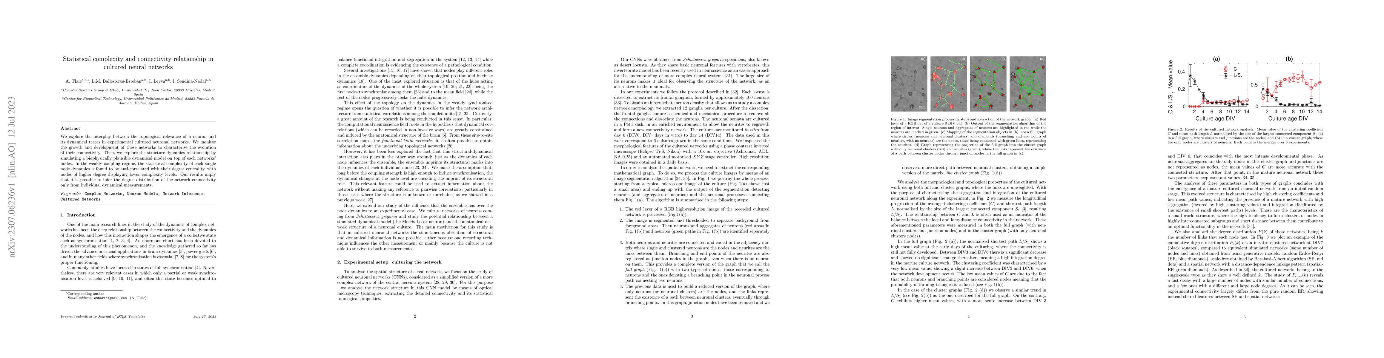 Thumbnail for Statistical complexity and connectivity relationship in cultured neural
  networks