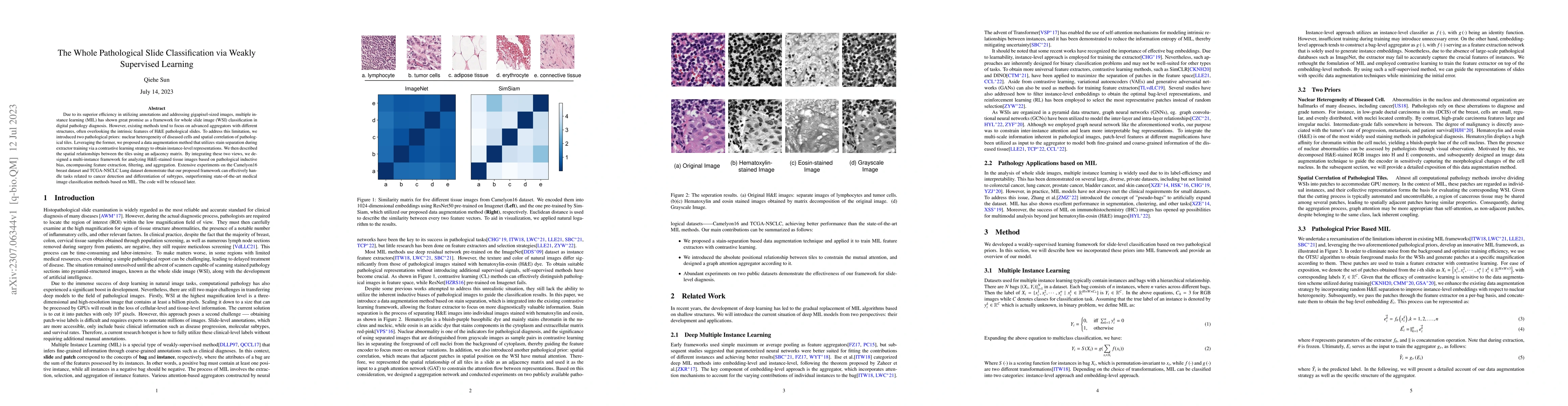 Thumbnail for The Whole Pathological Slide Classification via Weakly Supervised
  Learning