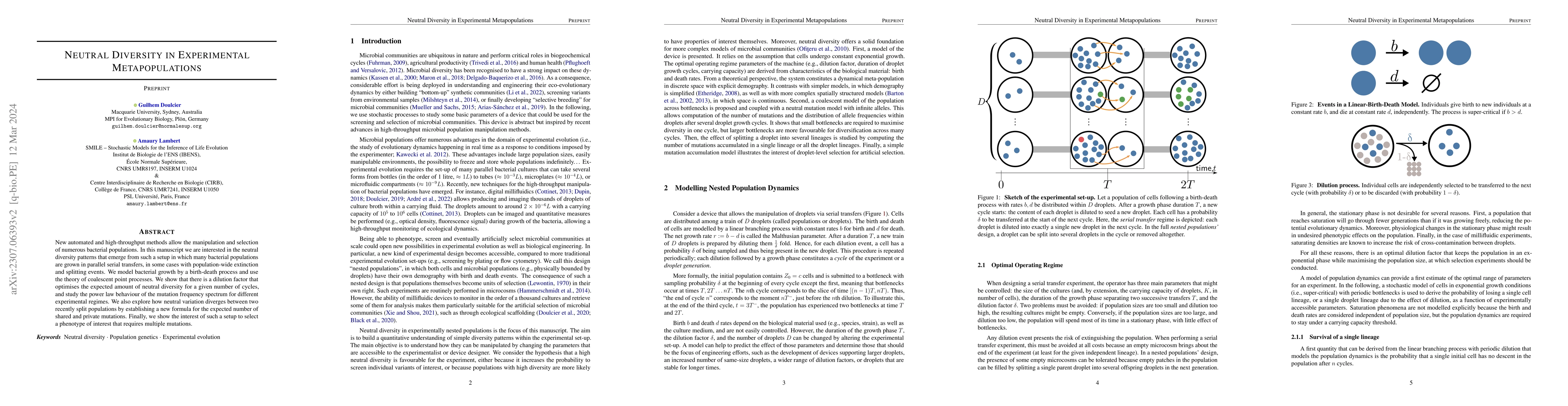 Thumbnail for Neutral Diversity in Experimental Metapopulations