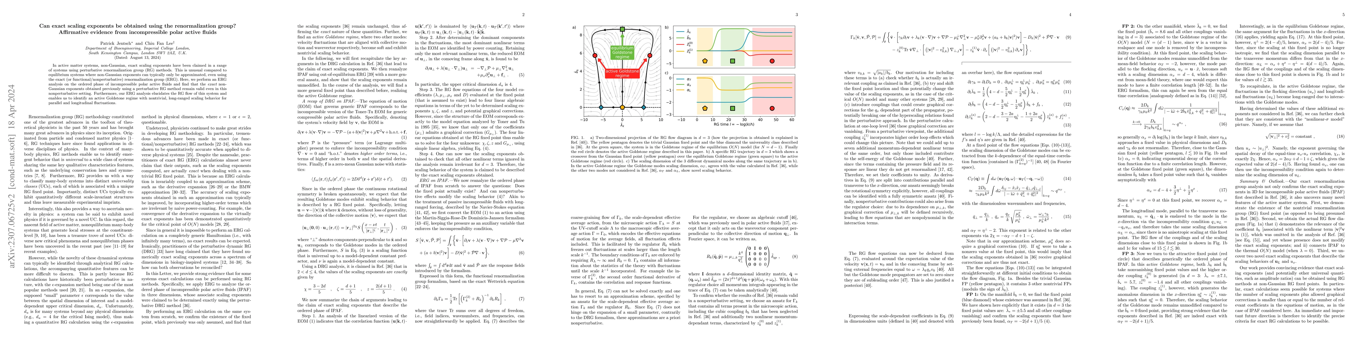 Thumbnail for Can exact scaling exponents be obtained using the renormalization group?
  Affirmative evidence from incompressible polar active fluids