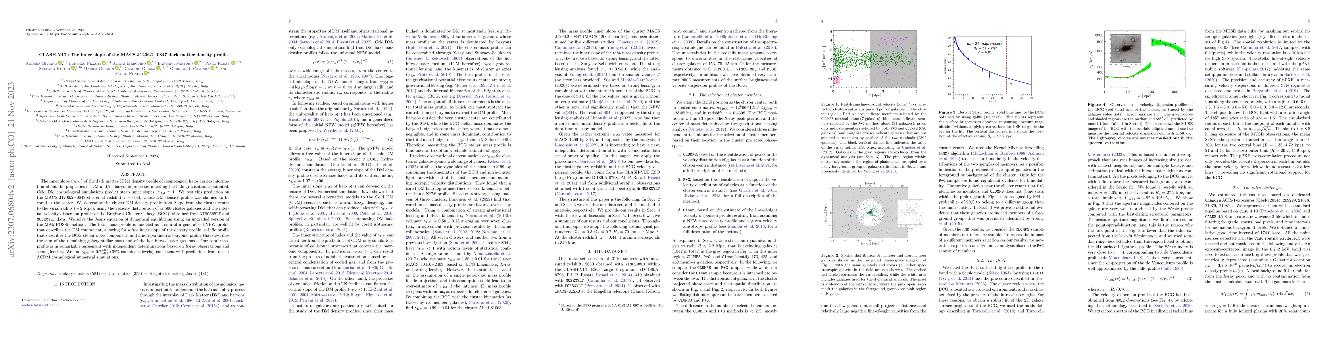 Thumbnail for CLASH-VLT: The inner slope of the MACS J1206.2-0847 dark matter density
  profile
