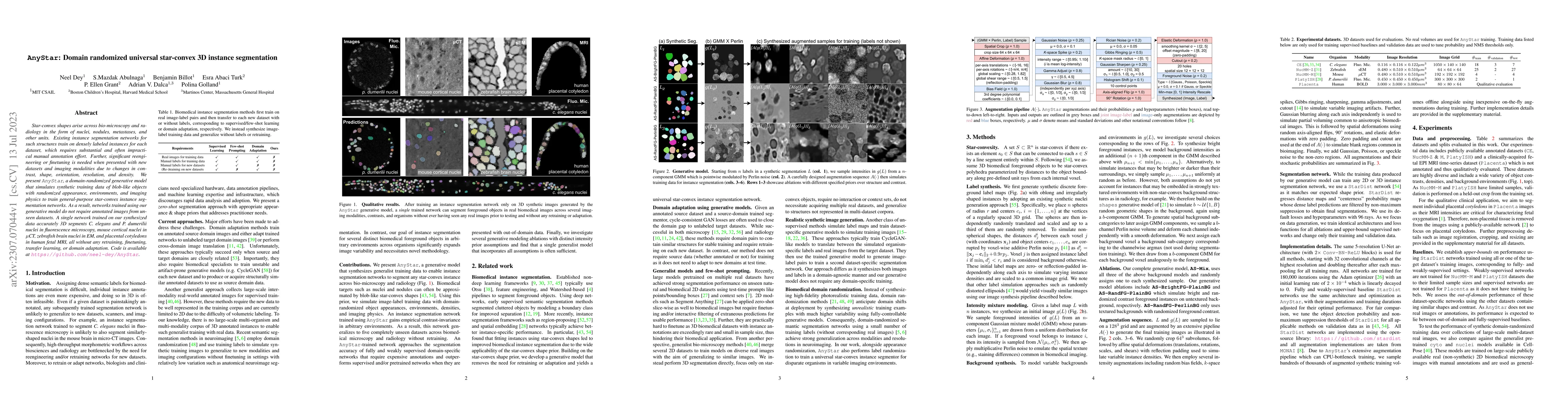 Thumbnail for AnyStar: Domain randomized universal star-convex 3D instance
  segmentation