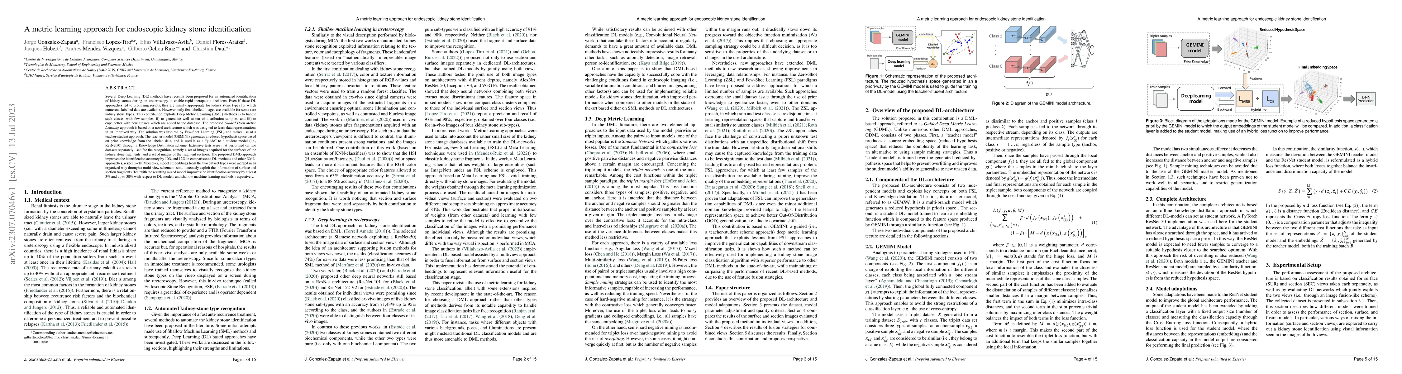 Thumbnail for A metric learning approach for endoscopic kidney stone identification