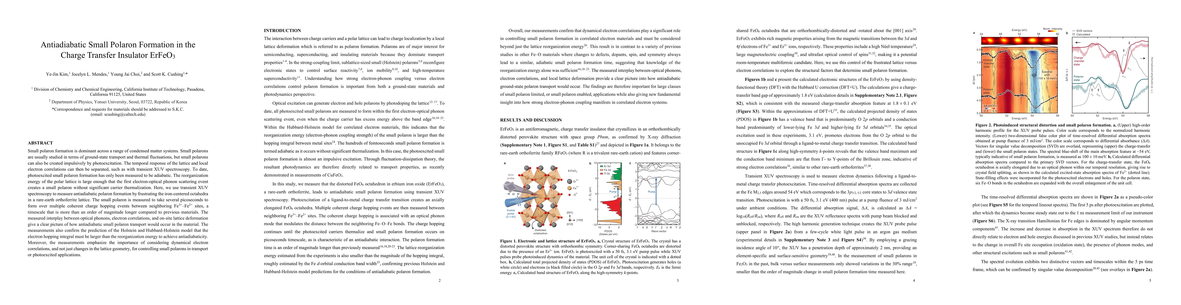 Thumbnail for Antiadiabatic Small Polaron Formation in the Charge Transfer Insulator
  ErFeO3
