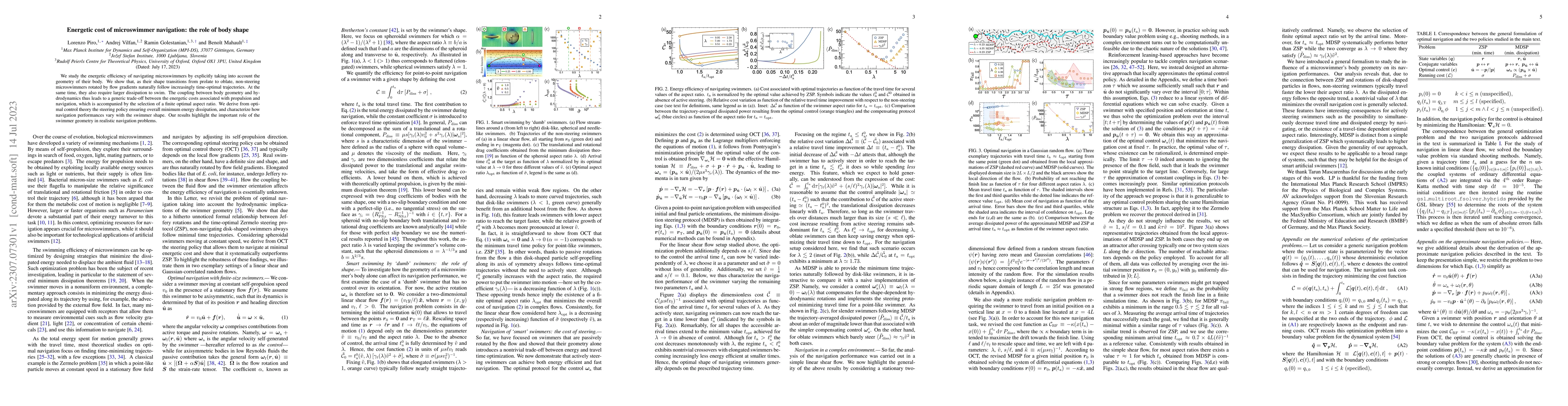 Thumbnail for Energetic cost of microswimmer navigation: the role of body shape