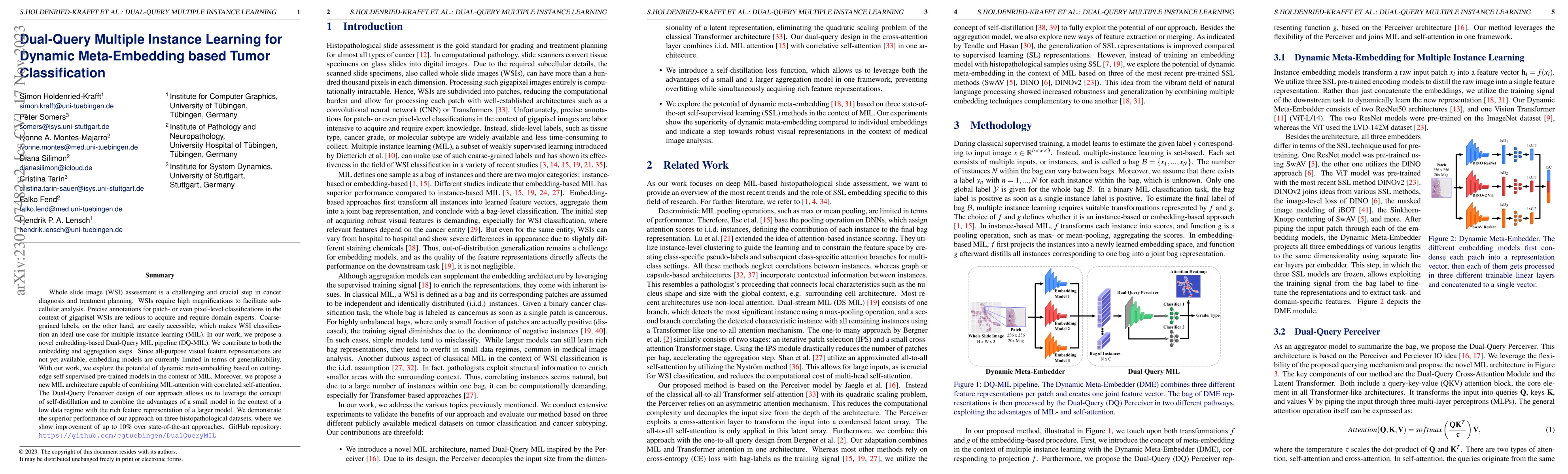 Thumbnail for Dual-Query Multiple Instance Learning for Dynamic Meta-Embedding based
  Tumor Classification