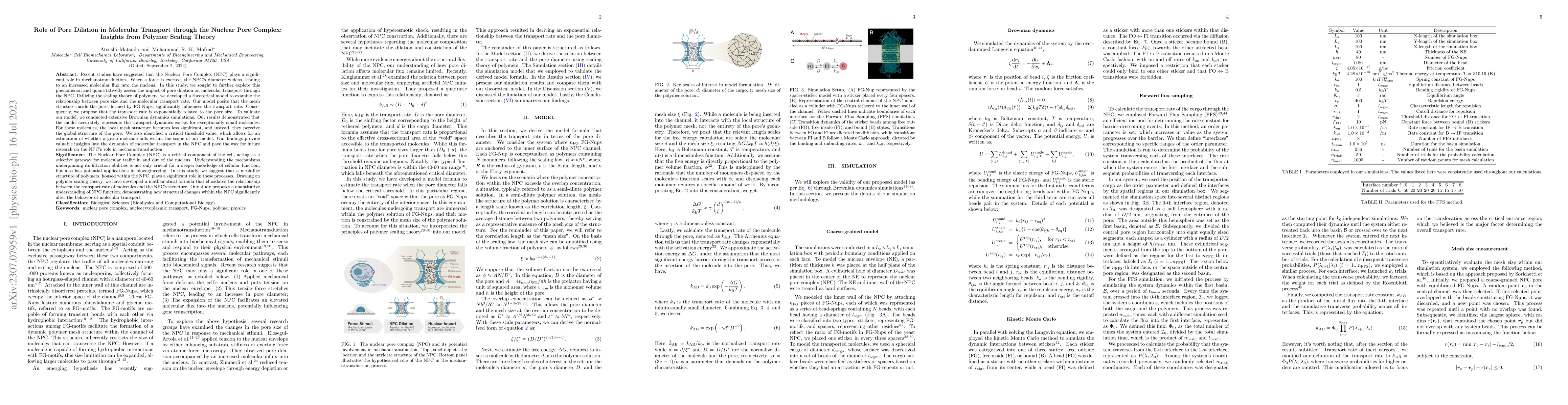 Thumbnail for Role of Pore Dilation in Molecular Transport through the Nuclear Pore
  Complex: Insights from Polymer Scaling Theory
