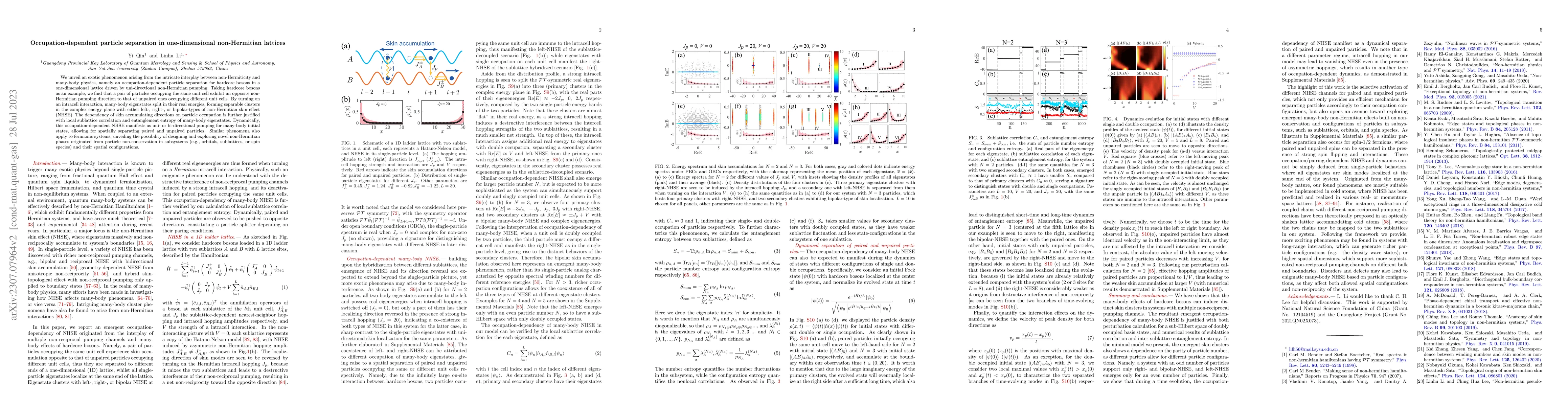 Thumbnail for Occupation-dependent particle separation in one-dimensional
  non-Hermitian lattices