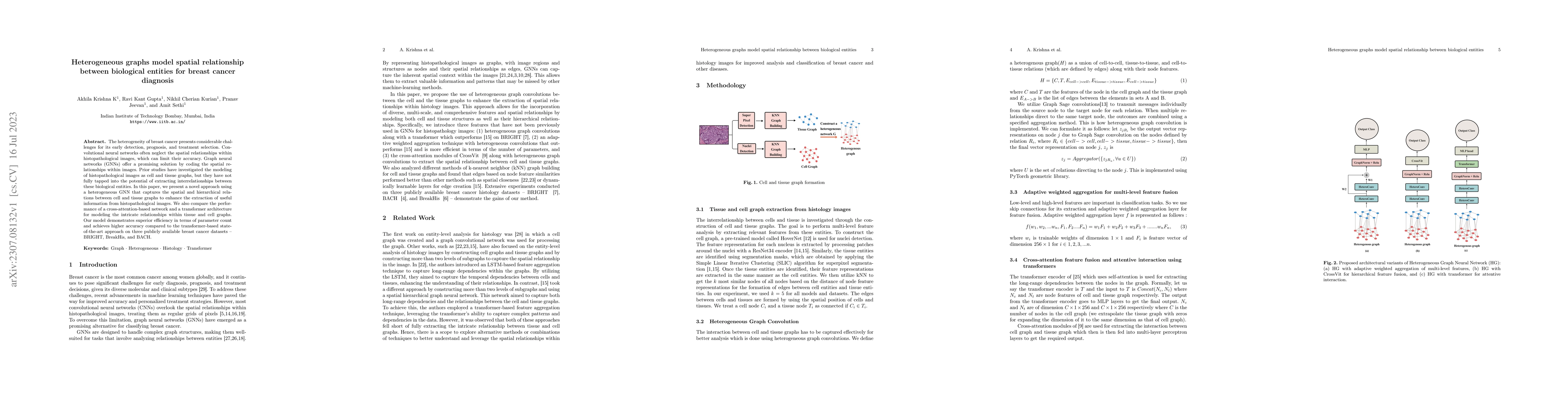 Thumbnail for Heterogeneous graphs model spatial relationships between biological
  entities for breast cancer diagnosis