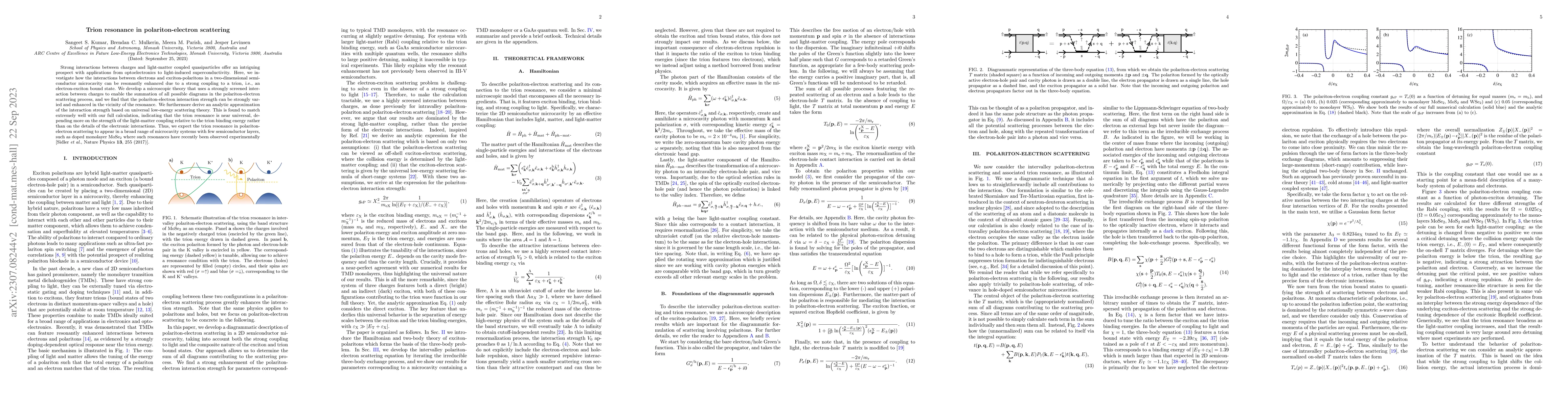 Thumbnail for Trion resonance in polariton-electron scattering