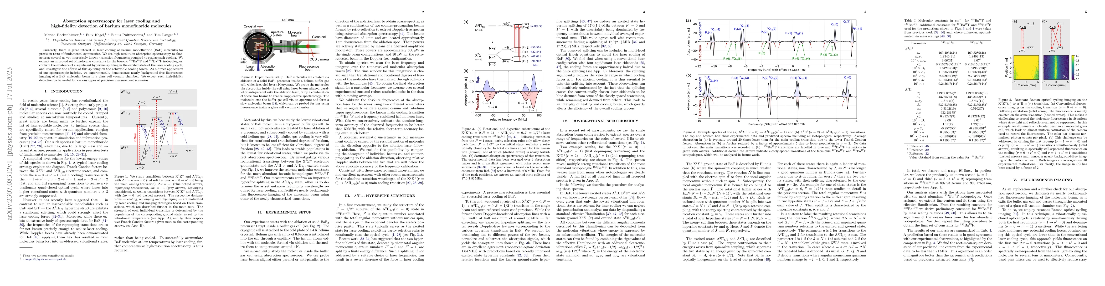 Thumbnail for Absorption spectroscopy for laser cooling and high-fidelity detection of
  barium monofluoride molecules