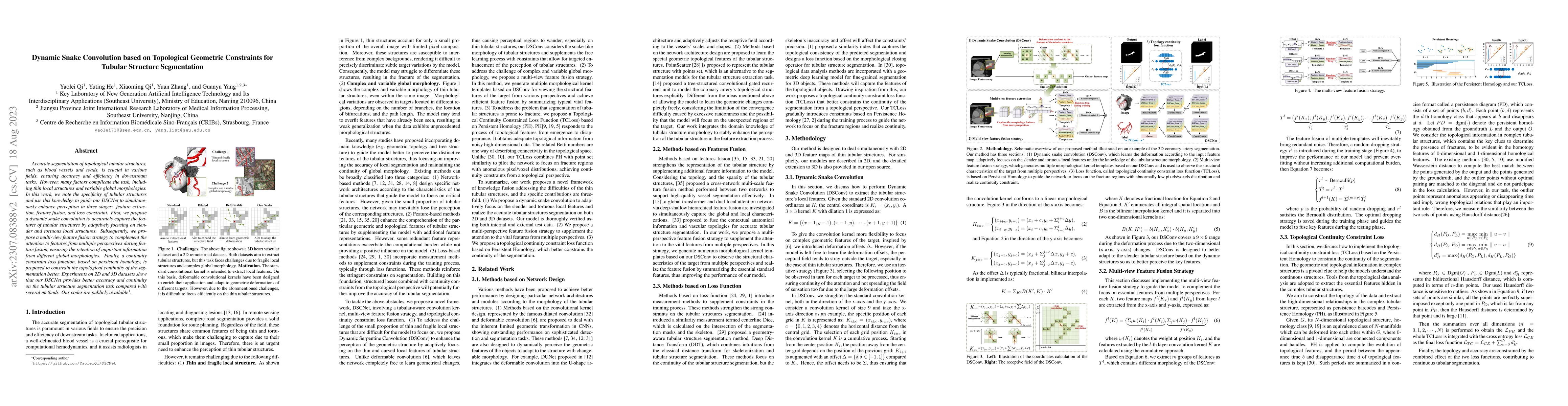 Thumbnail for Dynamic Snake Convolution based on Topological Geometric Constraints for
  Tubular Structure Segmentation