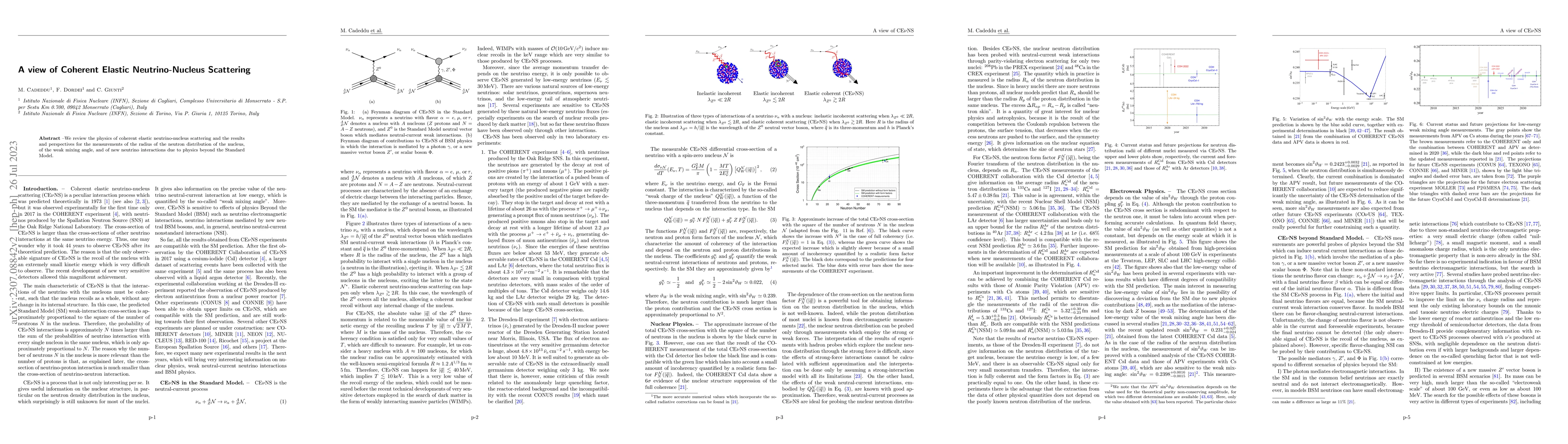 Thumbnail for A view of Coherent Elastic Neutrino-Nucleus Scattering