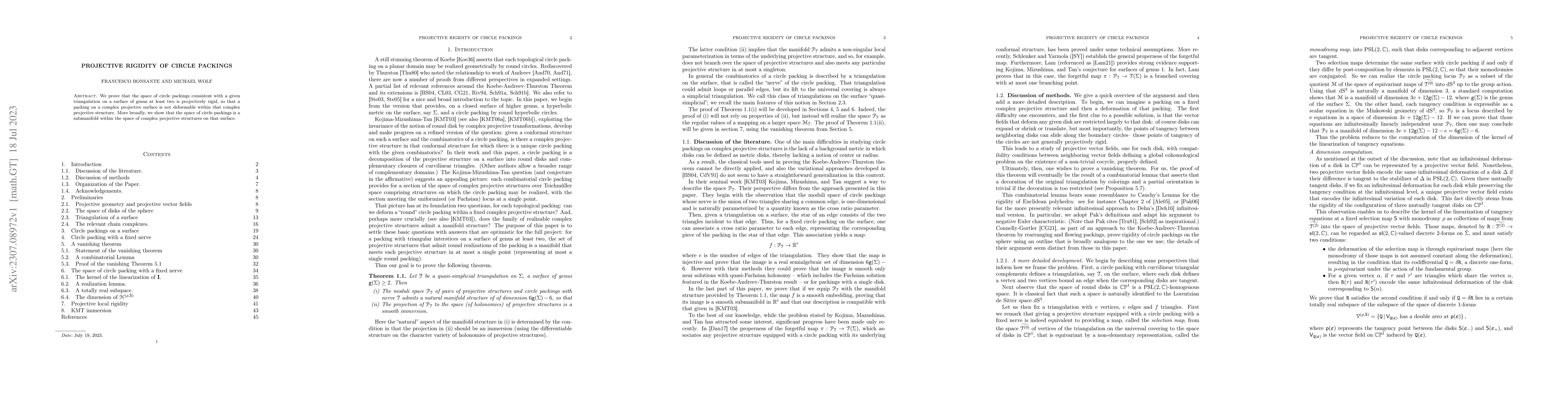 Thumbnail for Projective Rigidity of Circle Packings