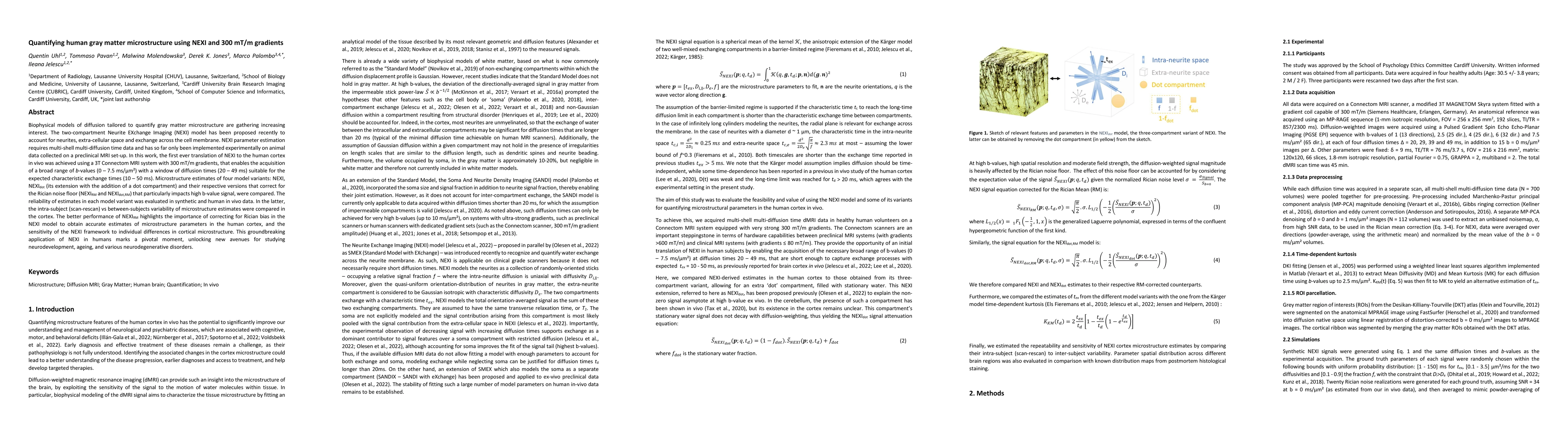 Thumbnail for Quantifying human gray matter microstructure using NEXI and 300 mT/m
  gradients
