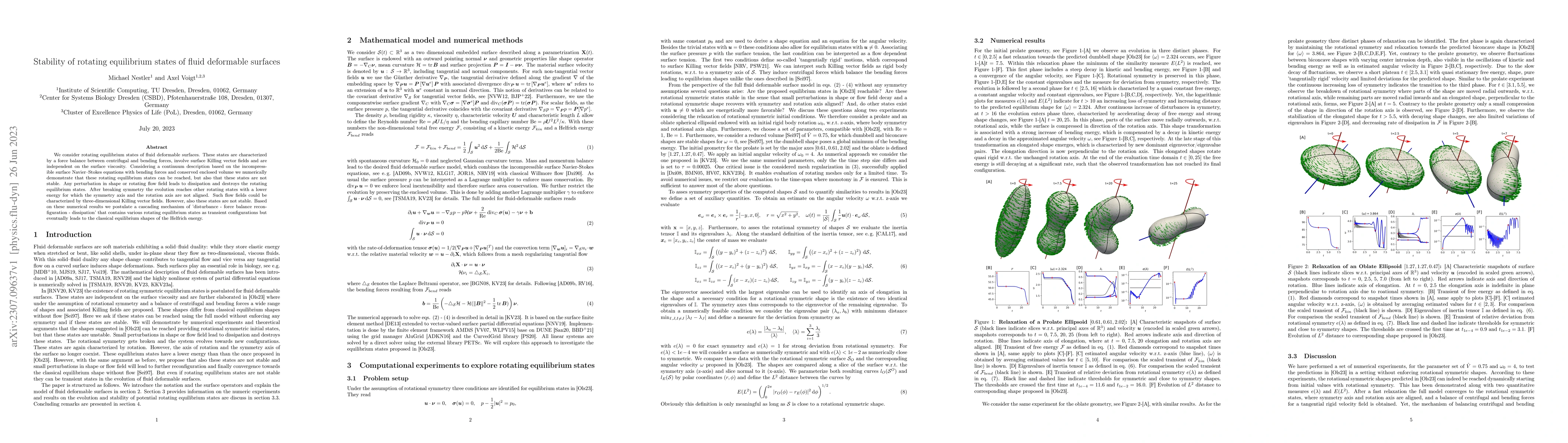 Thumbnail for Stability of rotating equilibrium states of fluid deformable surfaces