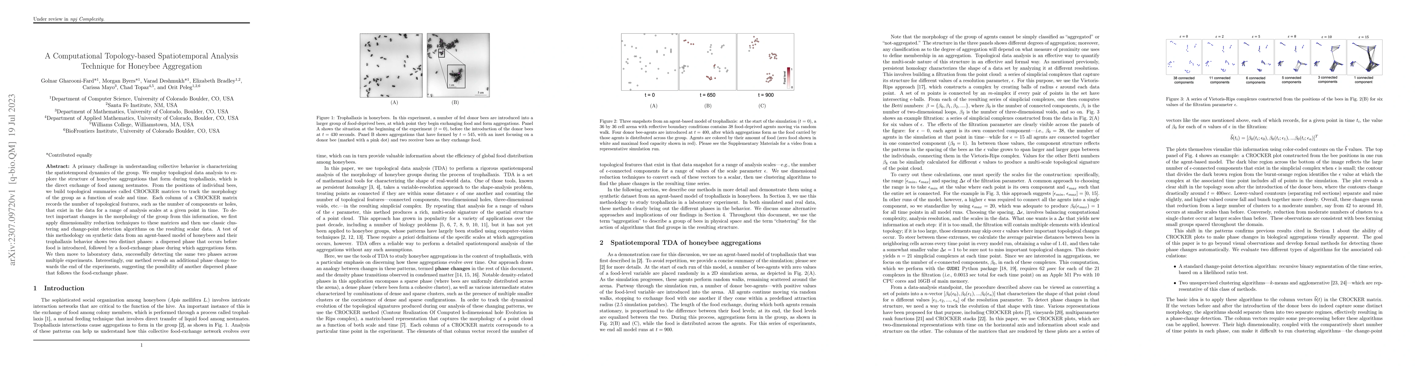 Thumbnail for A Computational Topology-based Spatiotemporal Analysis Technique for
  Honeybee Aggregation