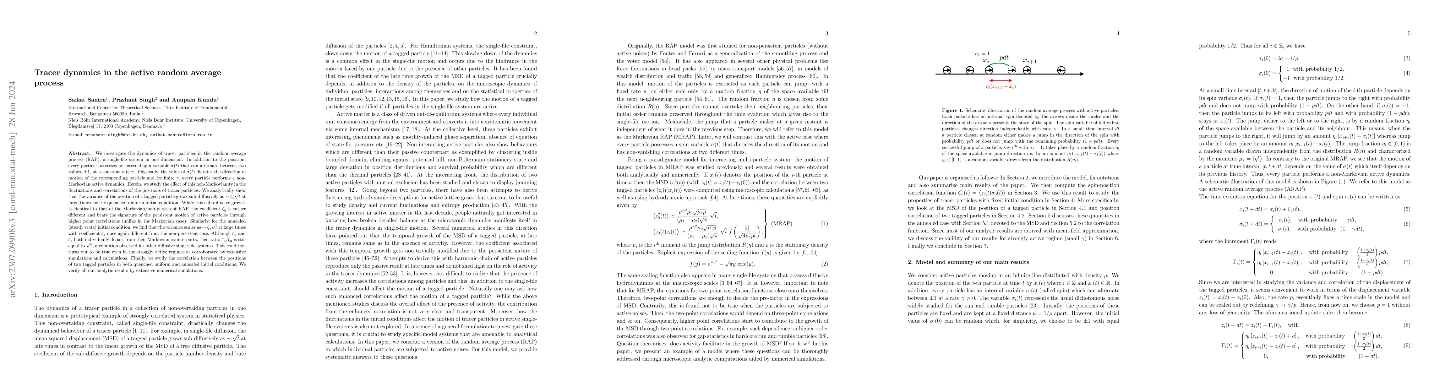 Thumbnail for Tracer dynamics in the active random average process