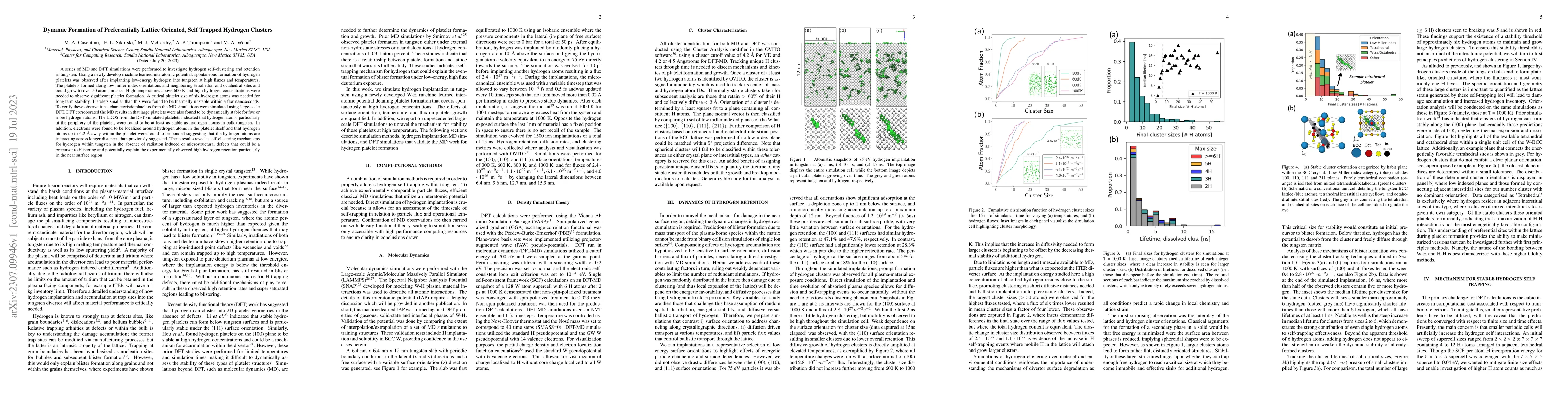 Thumbnail for Dynamic Formation of Preferentially Lattice Oriented, Self Trapped
  Hydrogen Clusters