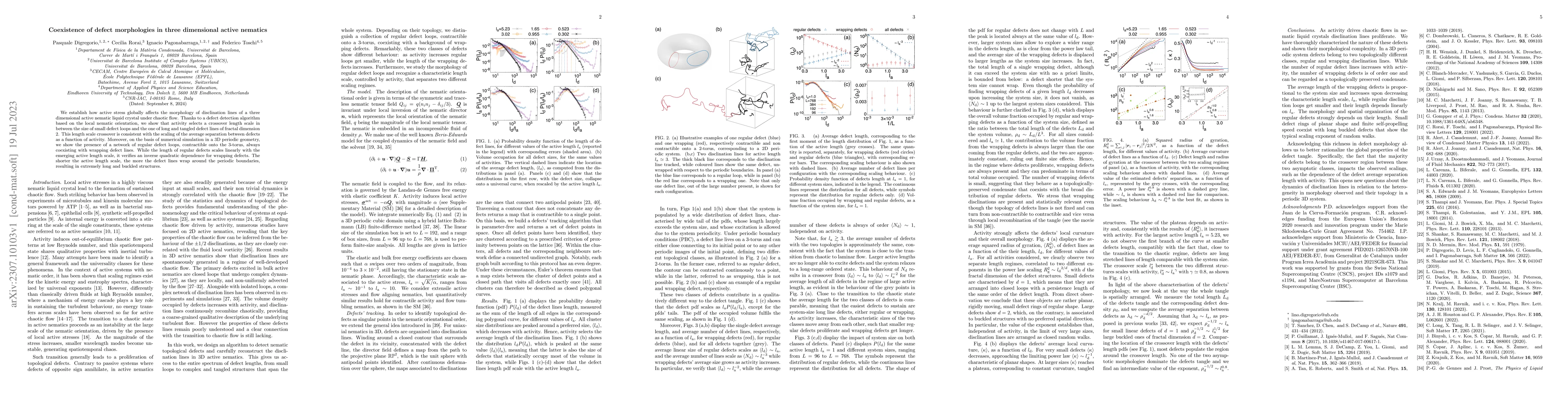 Thumbnail for Coexistence of defect morphologies in three dimensional active nematics