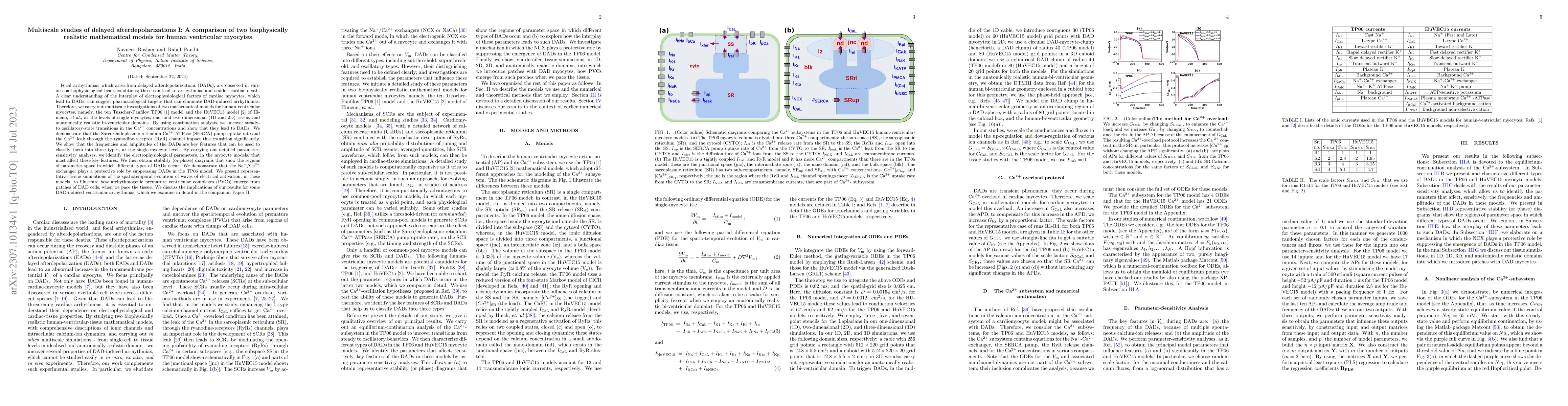 Thumbnail for Multiscale studies of delayed afterdepolarizations I: A comparison of
  two biophysically realistic mathematical models for human ventricular
  myocytes