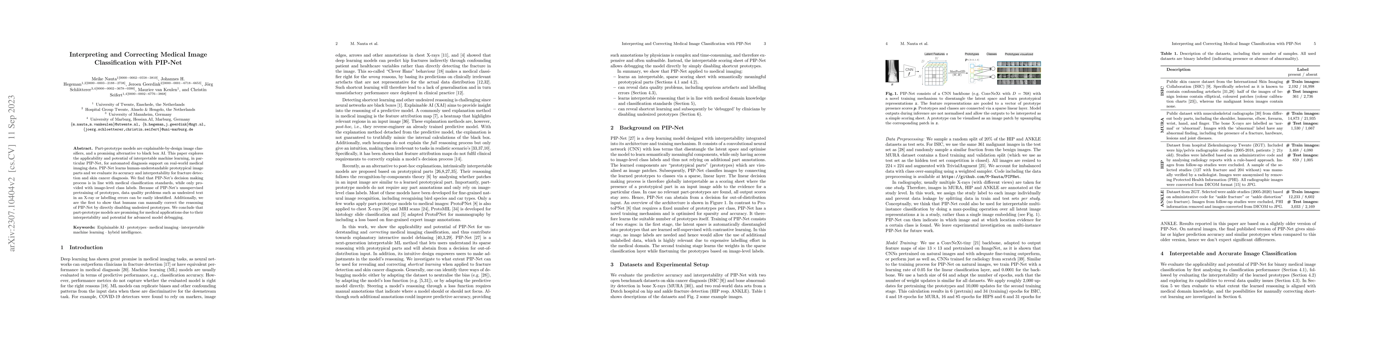 Thumbnail for Interpreting and Correcting Medical Image Classification with PIP-Net