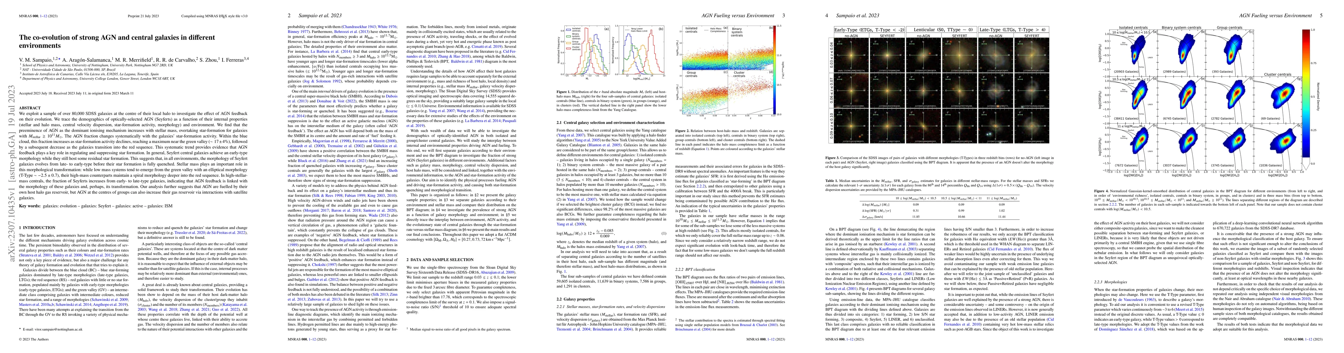 Thumbnail for The co-evolution of strong AGN and central galaxies in different
  environments