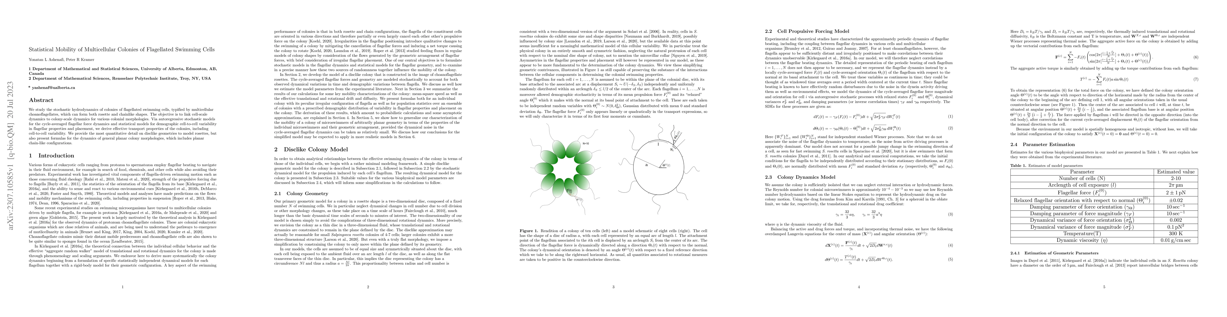 Thumbnail for Statistical Mobility of Multicellular Colonies of Flagellated Swimming
  Cells