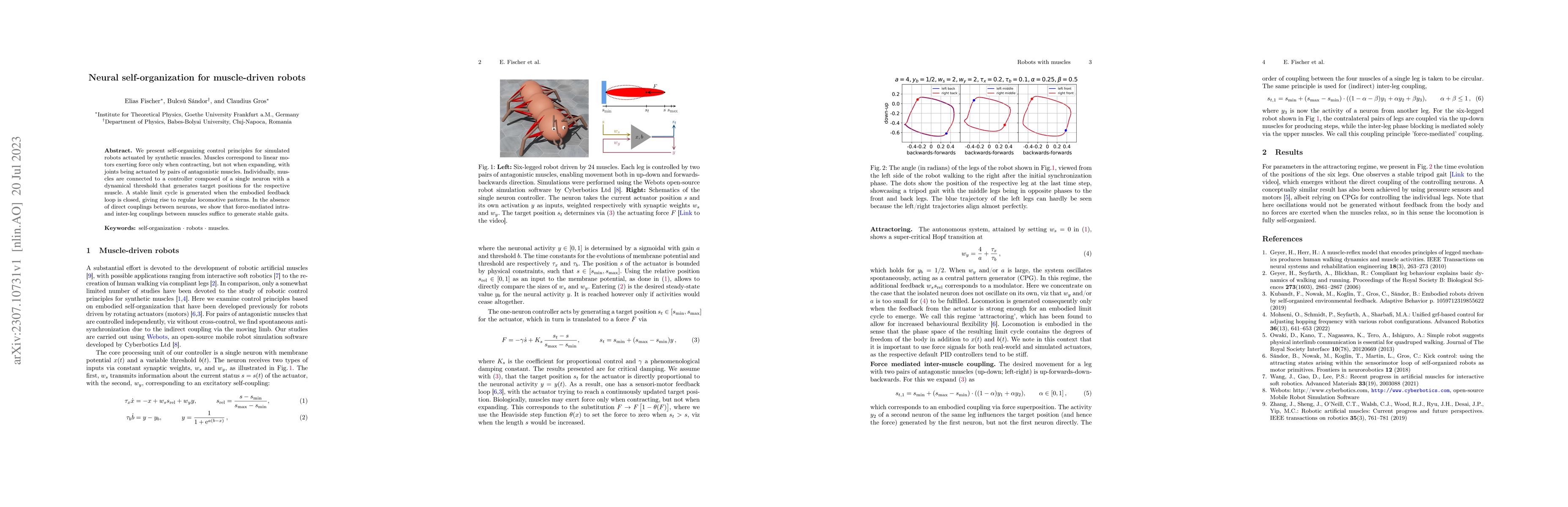 Thumbnail for Neural self-organization for muscle-driven robots