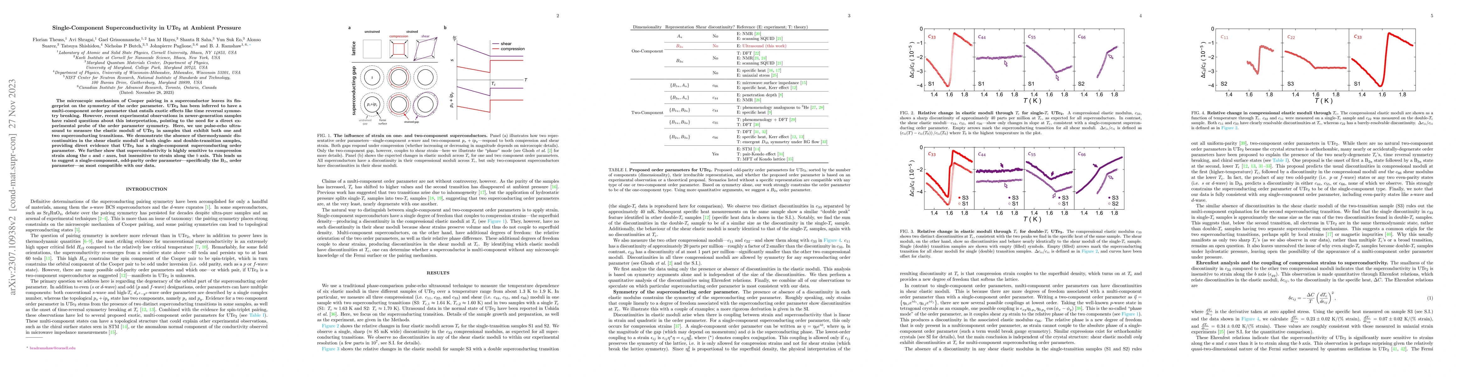 Thumbnail for Single-Component Superconductivity in UTe$_2$ at Ambient Pressure