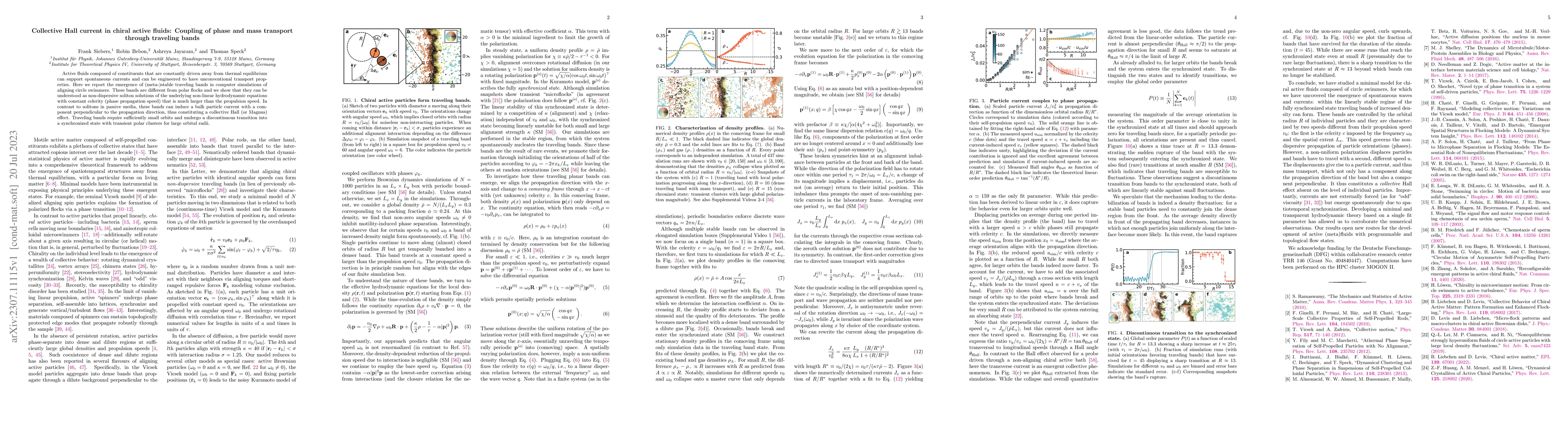 Thumbnail for Collective Hall current in chiral active fluids: Coupling of phase and
  mass transport through traveling bands