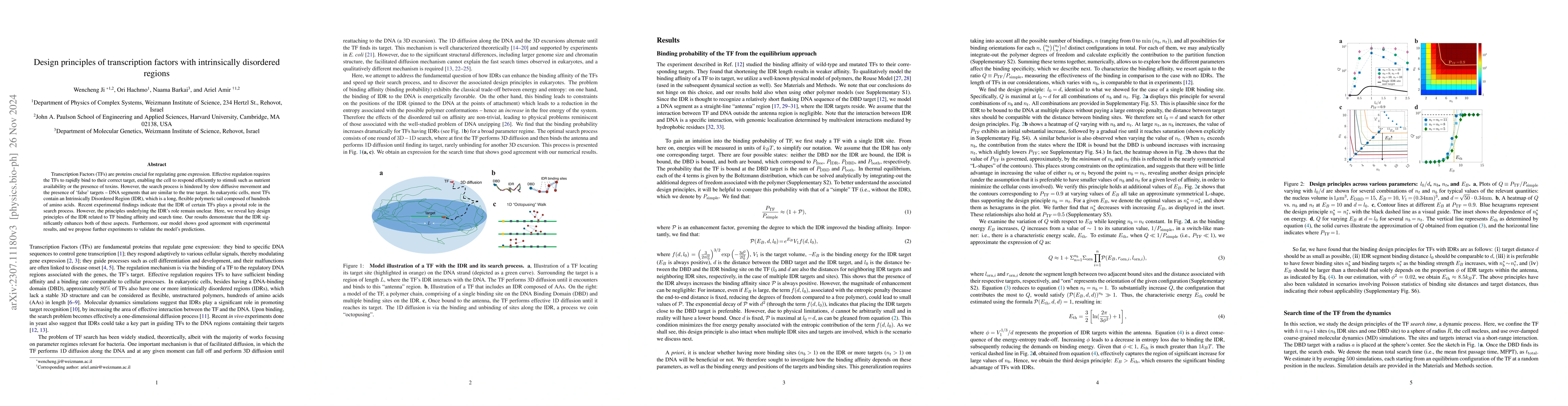 Thumbnail for Design principles of transcription factors with intrinsically disordered
  regions